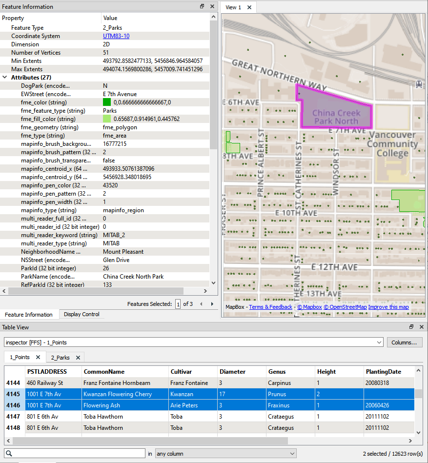 Viewing the two trees of China Creek Park in Visual Preview